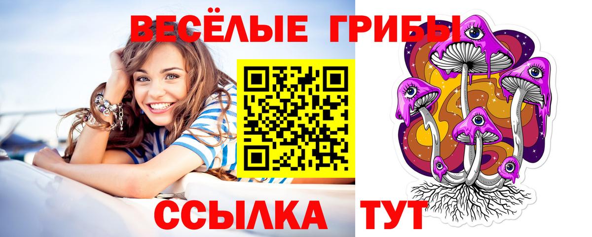 Галлюциногенные грибы мухоморы Ишим