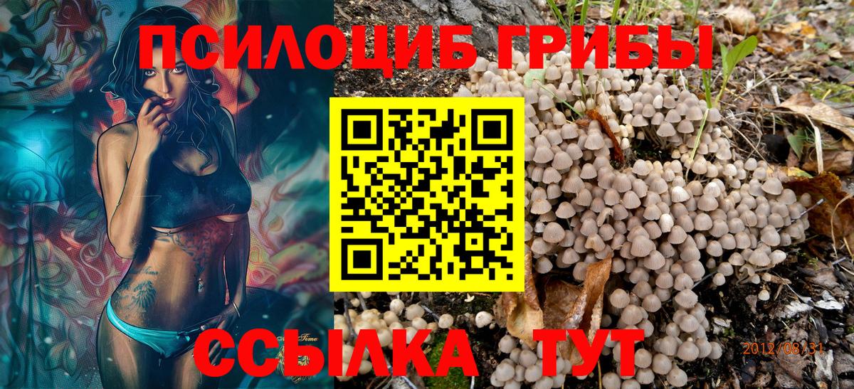 Ишим  Галлюциногенные грибы Cubensis  Псилоцибиновые грибы прущие грибы  цена   Вход с VPN 